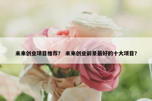 未来创业项目推荐？ 未来创业前景最好的十大项目？