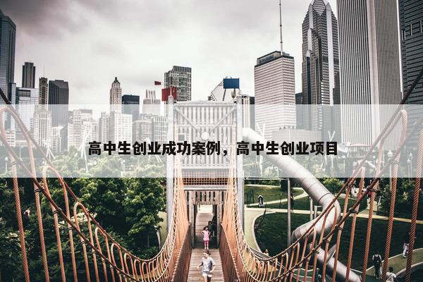高中生创业成功案例，高中生创业项目