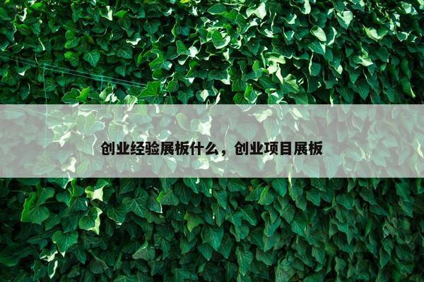 创业经验展板什么，创业项目展板