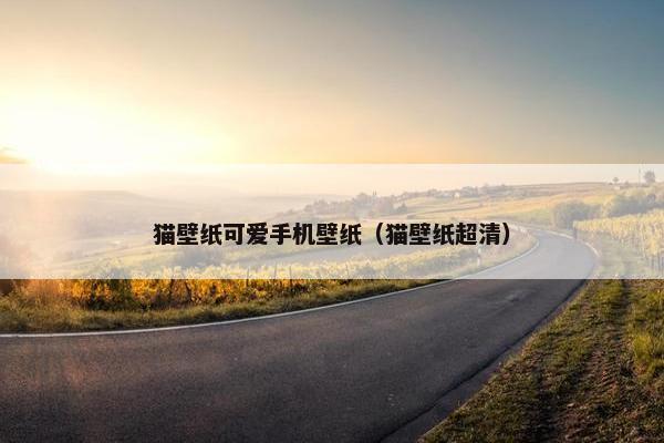 猫壁纸可爱手机壁纸（猫壁纸超清）