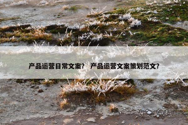 产品运营日常文案？ 产品运营文案策划范文？