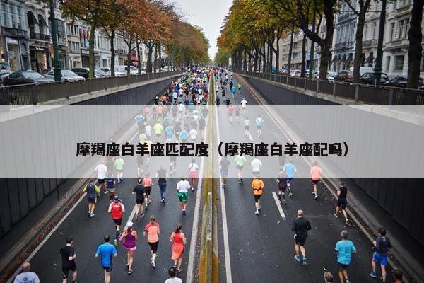 摩羯座白羊座匹配度（摩羯座白羊座配吗）