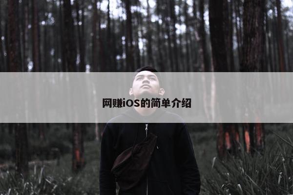 网赚iOS的简单介绍