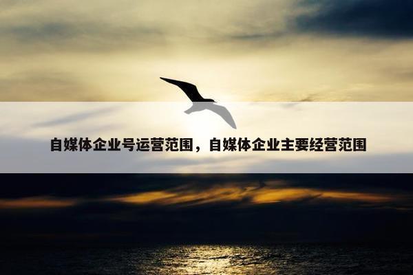 自媒体企业号运营范围，自媒体企业主要经营范围