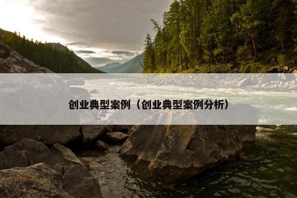 创业典型案例（创业典型案例分析）