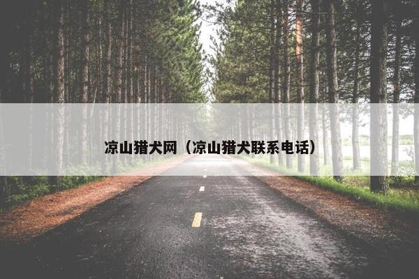 凉山猎犬网（凉山猎犬联系电话）