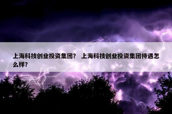 上海科技创业投资集团？ 上海科技创业投资集团待遇怎么样？
