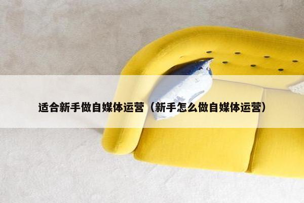 适合新手做自媒体运营（新手怎么做自媒体运营）