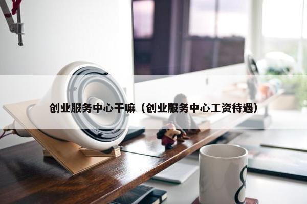 创业服务中心干嘛（创业服务中心工资待遇）
