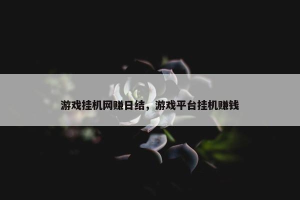 游戏挂机网赚日结，游戏平台挂机赚钱