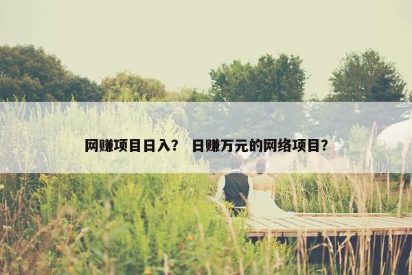 网赚项目日入？ 日赚万元的网络项目？