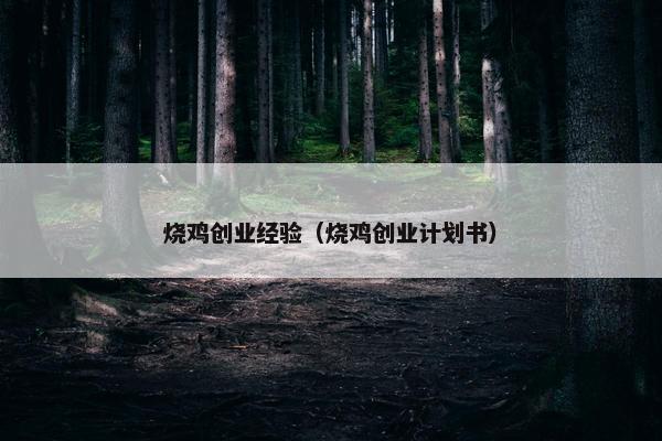 烧鸡创业经验（烧鸡创业计划书）