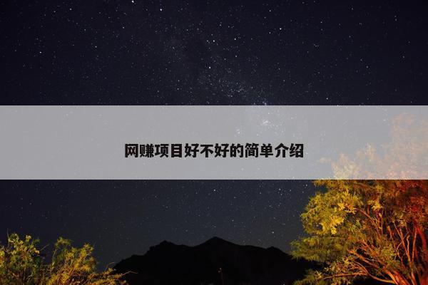 网赚项目好不好的简单介绍