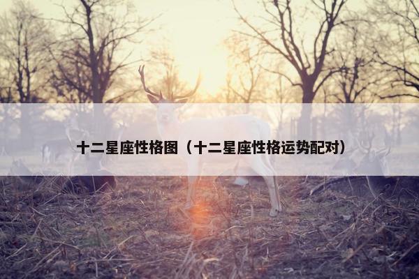 十二星座性格图（十二星座性格运势配对）