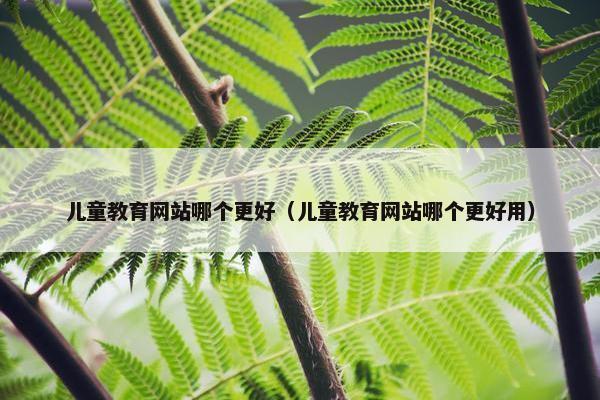 儿童教育网站哪个更好（儿童教育网站哪个更好用）