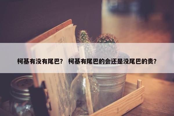 柯基有没有尾巴？ 柯基有尾巴的会还是没尾巴的贵？