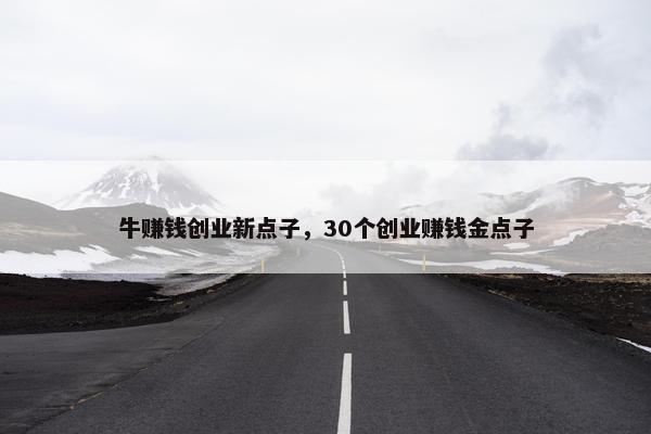 牛赚钱创业新点子，30个创业赚钱金点子