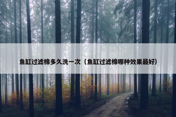鱼缸过滤棉多久洗一次（鱼缸过滤棉哪种效果最好）