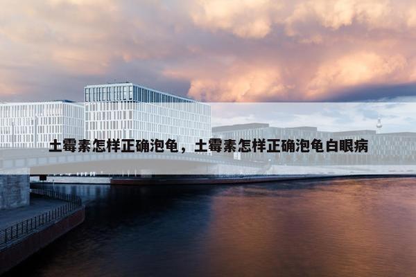 土霉素怎样正确泡龟，土霉素怎样正确泡龟白眼病
