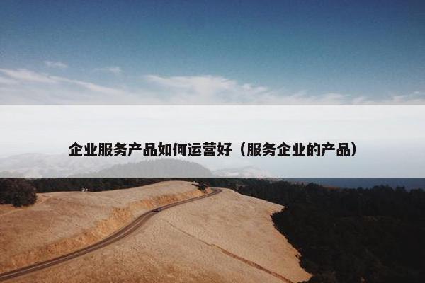企业服务产品如何运营好（服务企业的产品）
