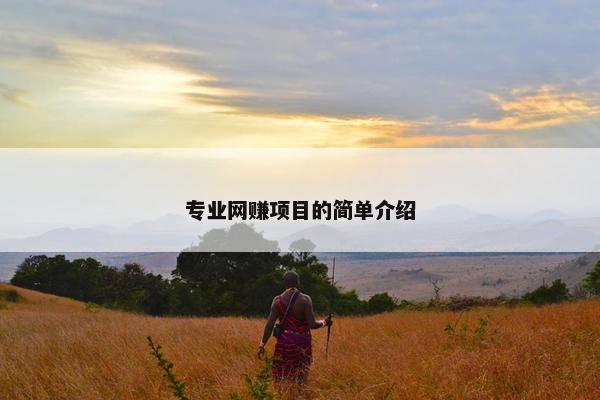 专业网赚项目的简单介绍