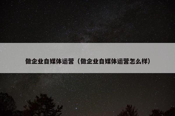 做企业自媒体运营（做企业自媒体运营怎么样）