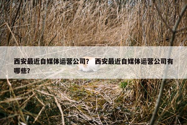 西安最近自媒体运营公司？ 西安最近自媒体运营公司有哪些？