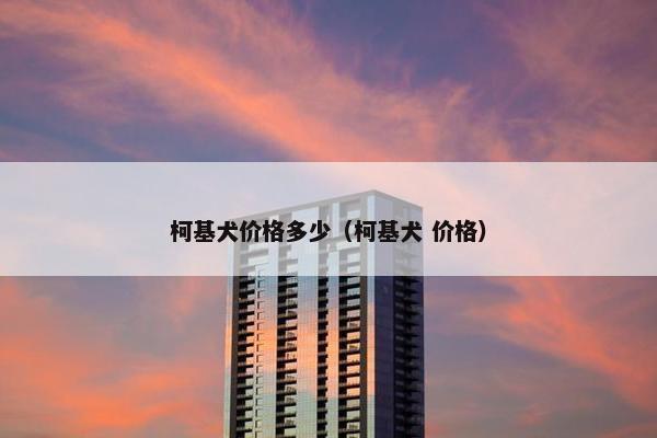 柯基犬价格多少（柯基犬 价格）