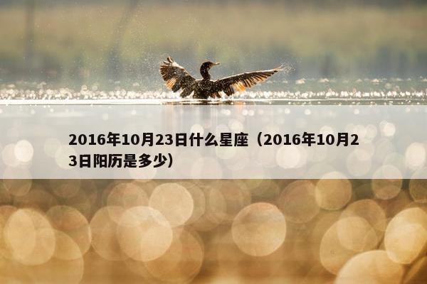 2016年10月23日什么星座（2016年10月23日阳历是多少）