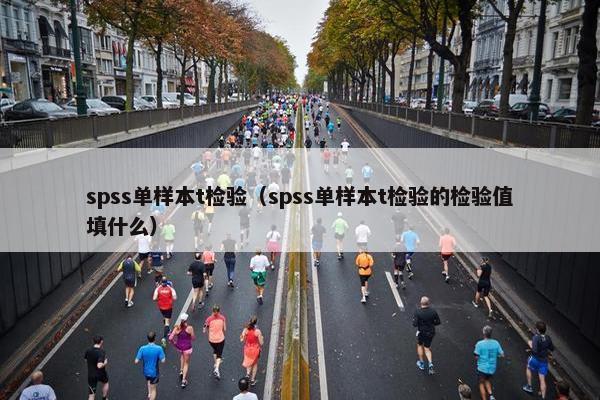spss单样本t检验（spss单样本t检验的检验值填什么）