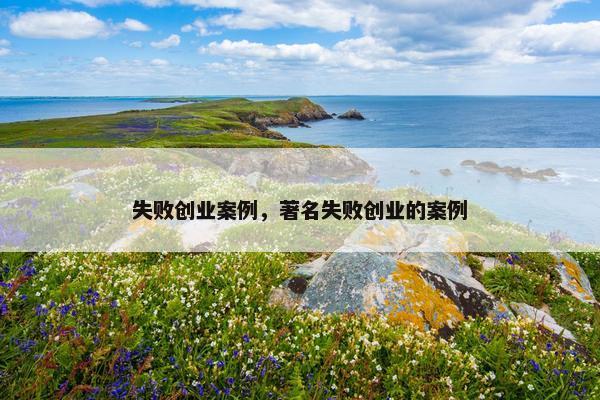 失败创业案例，著名失败创业的案例