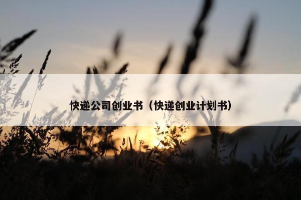 快递公司创业书（快递创业计划书）