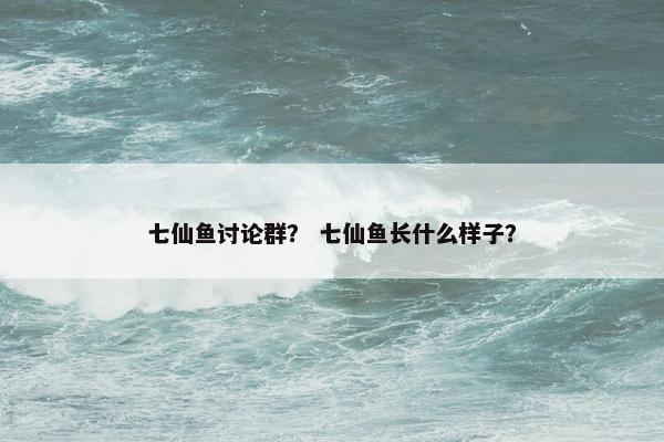 七仙鱼讨论群？ 七仙鱼长什么样子？