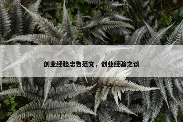 创业经验忠告范文，创业经验之谈
