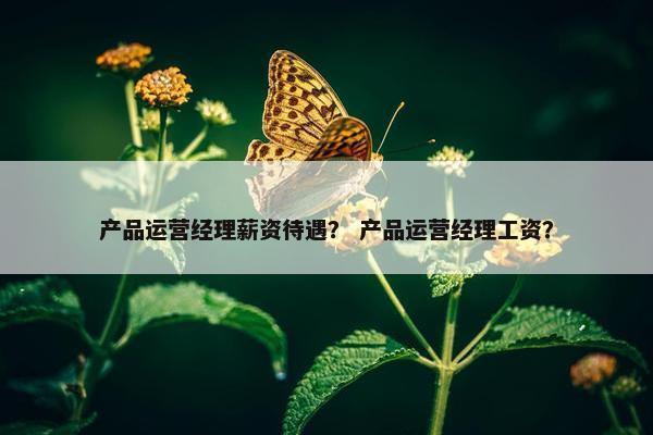 产品运营经理薪资待遇？ 产品运营经理工资？