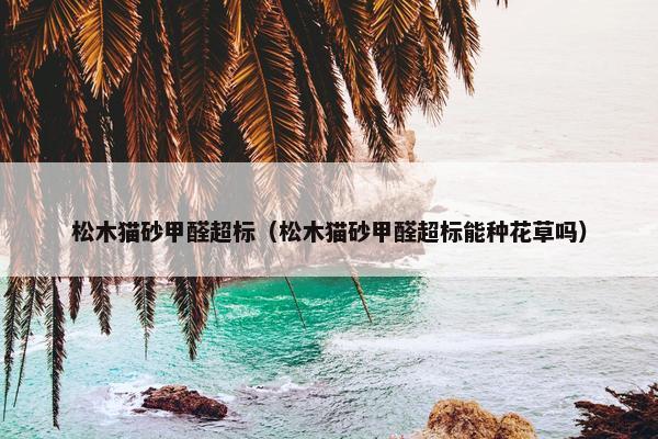 松木猫砂甲醛超标（松木猫砂甲醛超标能种花草吗）