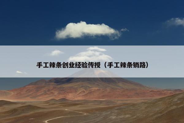 手工辣条创业经验传授（手工辣条销路）