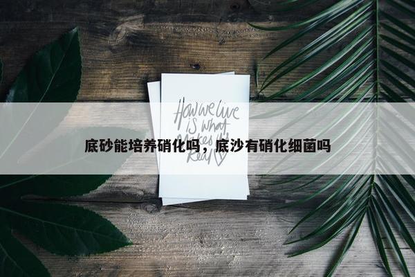 底砂能培养硝化吗，底沙有硝化细菌吗