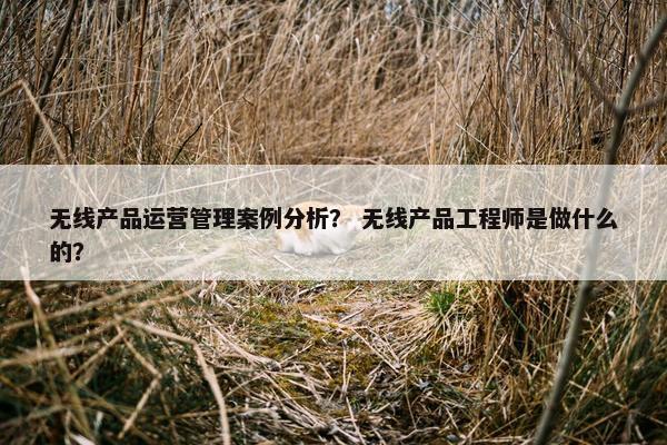 无线产品运营管理案例分析？ 无线产品工程师是做什么的？