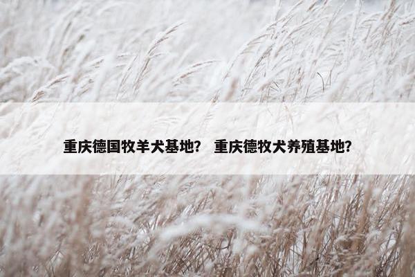 重庆德国牧羊犬基地？ 重庆德牧犬养殖基地？