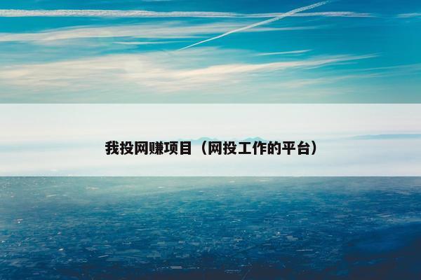 我投网赚项目（网投工作的平台）