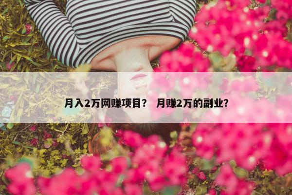 月入2万网赚项目？ 月赚2万的副业？