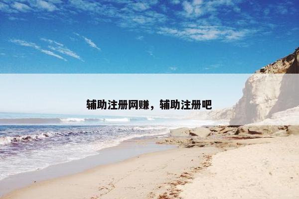 辅助注册网赚，辅助注册吧