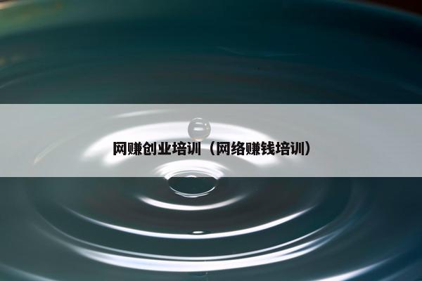 网赚创业培训（网络赚钱培训）