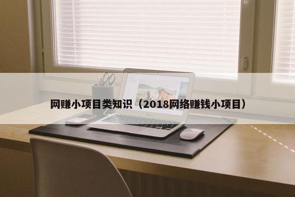 网赚小项目类知识（2018网络赚钱小项目）