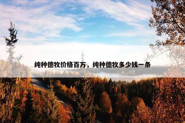 纯种德牧价格百万，纯种德牧多少钱一条