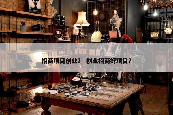 招商项目创业？ 创业招商好项目？