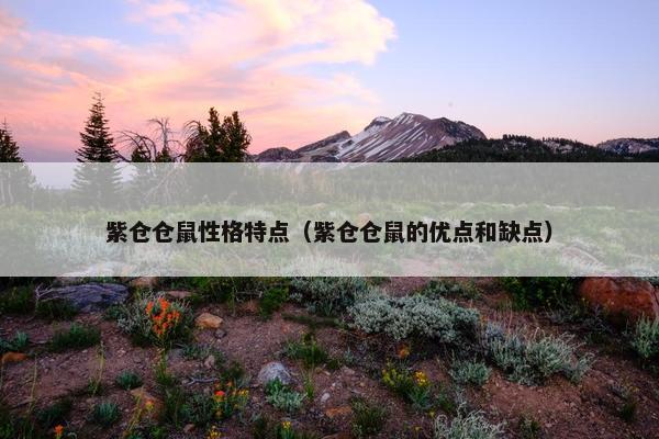紫仓仓鼠性格特点（紫仓仓鼠的优点和缺点）