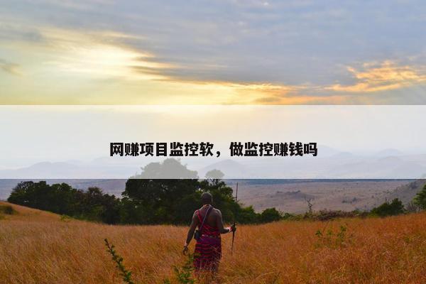 网赚项目监控软，做监控赚钱吗