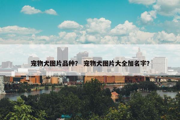 宠物犬图片品种？ 宠物犬图片大全加名字？